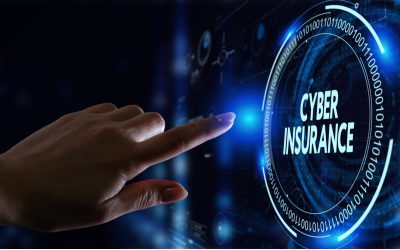 Cyber-Risks and Liabilities Newsletter